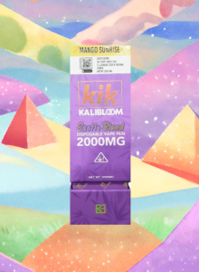 DISPOSABLE VAPE